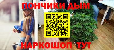 метадон Новозыбков