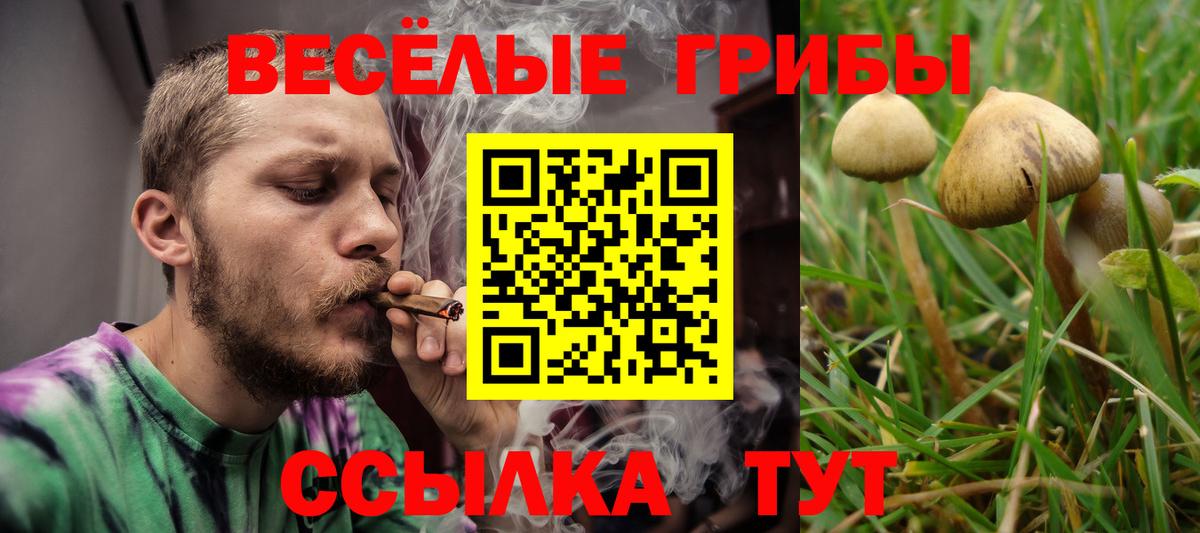 Псилоцибиновые грибы прущие грибы Пыть-Ях